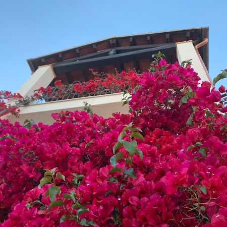 Appartamenti Supramonte Santa Maria Navarrese Εξωτερικό φωτογραφία