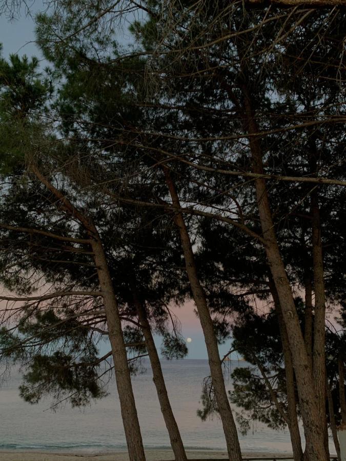 Appartamenti Supramonte Santa Maria Navarrese Εξωτερικό φωτογραφία