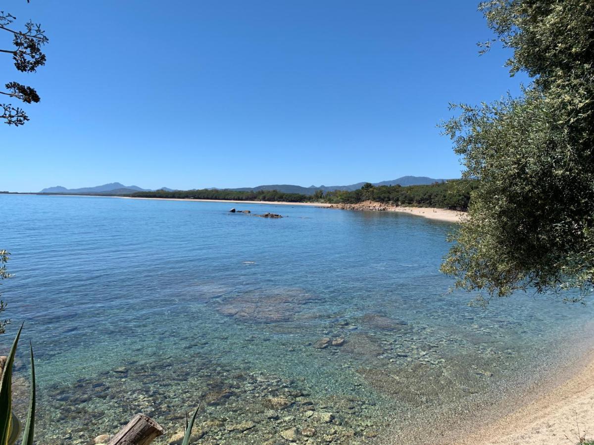 Appartamenti Supramonte Santa Maria Navarrese Εξωτερικό φωτογραφία